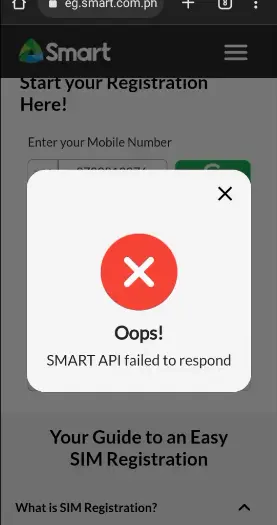 TM SIM registration common errors
